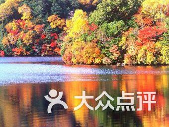 奔驰C级现优惠11万多,最低22万就能买,难怪12月销量比宝马3系高