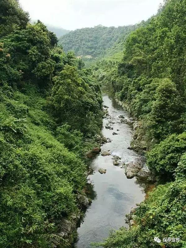 周海媚追思会已经低调举办,骨灰安葬在香港,遗作仙剑4已经开播